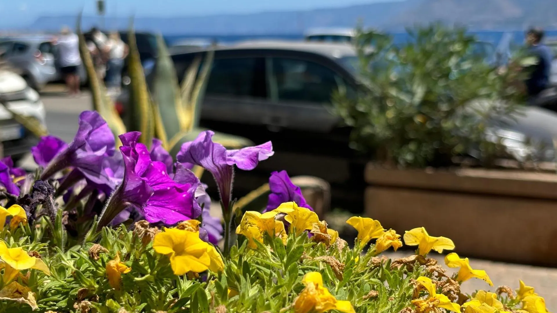 Appartamento Poseidon- Seaview Messina